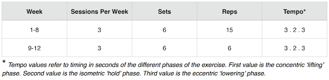 12 week slow heavy programme of jumper's knee exercises for patellar tendonitis