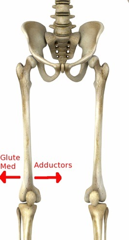 Frog Stretch for Tight Adductor Muscles